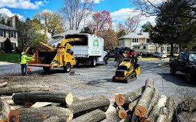 Best Emergency Tree Removal  in Fairfax, OK