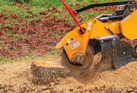 Fairfax, OK Tree Services Company