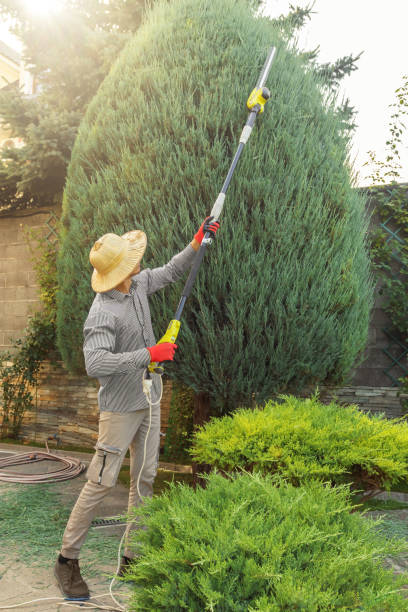 Best Grass Overseeding  in Fairfax, OK